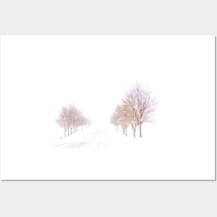 Trees in a Winter Storm Posters and Art